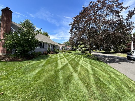 PRISTINE LANDSCAPE SOLUTIONS - Updated May 2025 - Stratford ...