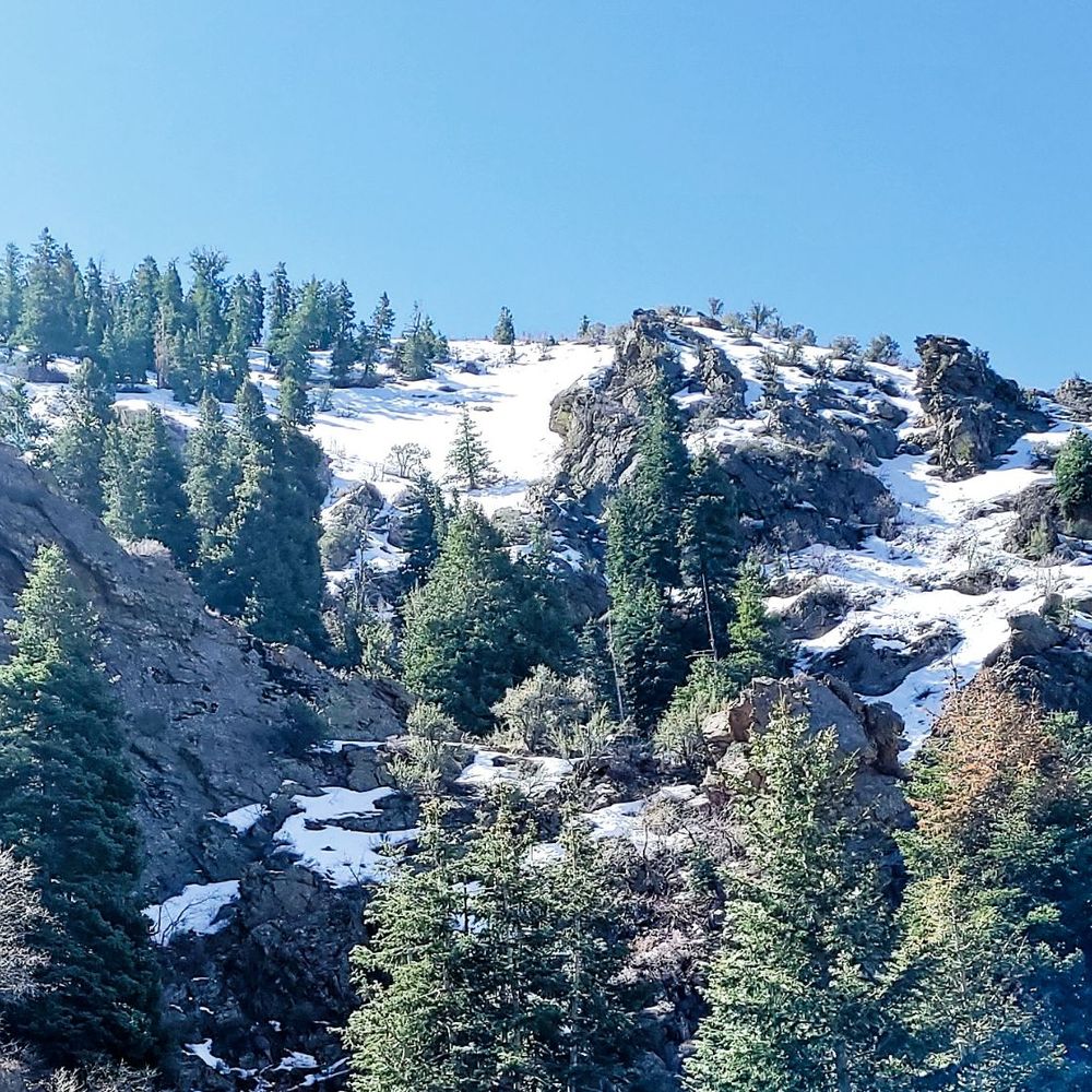 Adams Canyon Trail - Hiking Near Me - Layton, Utah Adams Canyon Trail - Hiking Near Me - Layton, Utah