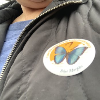 Butterfly Show at Krohn Conservatory - Local Flavor Near Me - Cincinnati, Ohio Butterfly Show at Krohn Conservatory - Local Flavor Near Me - Cincinnati, Ohio