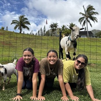 808 Goat Yoga - Yoga Near Me - Kilauea, Hawaii
