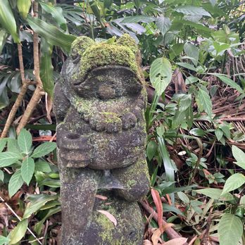Kona Cloud Forest Sanctuary - Walking Tours Near Me - Kailua-Kona, Hawaii