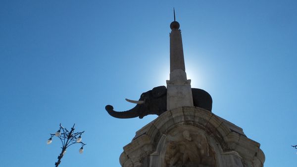 Fontana dell'Elefante (uʻ Liotru) by null