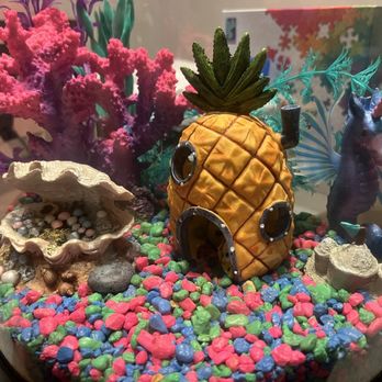 PetSmart - Decorated fish tank - Pet Training Near Me - Cape Coral, Florida