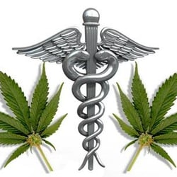 Access 420 Medical Services