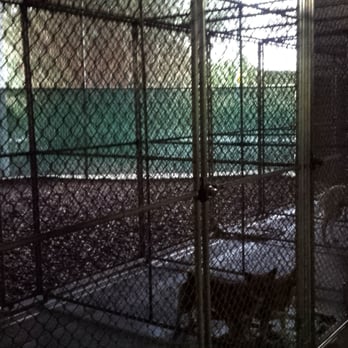 Kennels At Universal Studios - Large dog pens. - Pet Sitting Near Me - Orlando, Florida