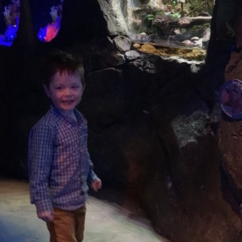 SeaQuest - Utah - Aquariums Near Me - Layton, Utah SeaQuest - Utah - Aquariums Near Me - Layton, Utah