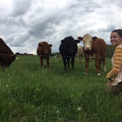 Polyface - "Salad-Bar beef" all grown on rotational mob grazing of perennial grasses only. NO GRAIN EVER.