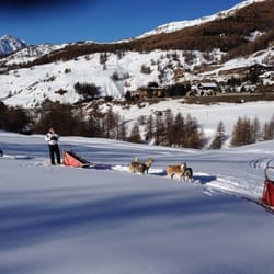 Centro Sleddog Sestriere