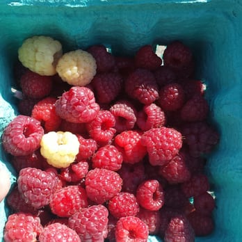 Libby & Son U-Pick - Pick Your Own Farms Near Me - Limerick, Maine