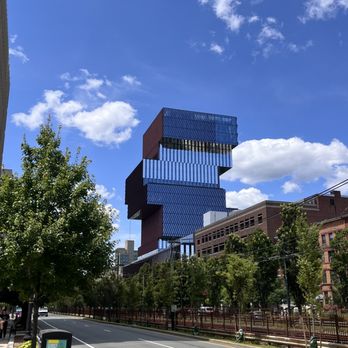 bstn university blue