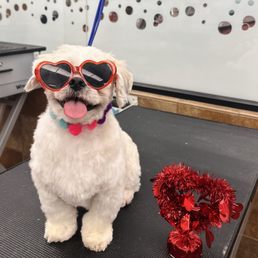 Our little Valentine Cupid Our little Valentine Cupid