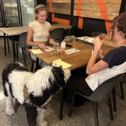 Mission Brewing - UCSD
