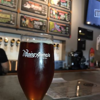 Tripping Animals Brewing - Odins Revenge - Breweries Near Me - Doral, Florida