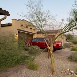 Arizona Ponds & Landscaping - Tree that Arizona Ponds and Landscaping removed for us.