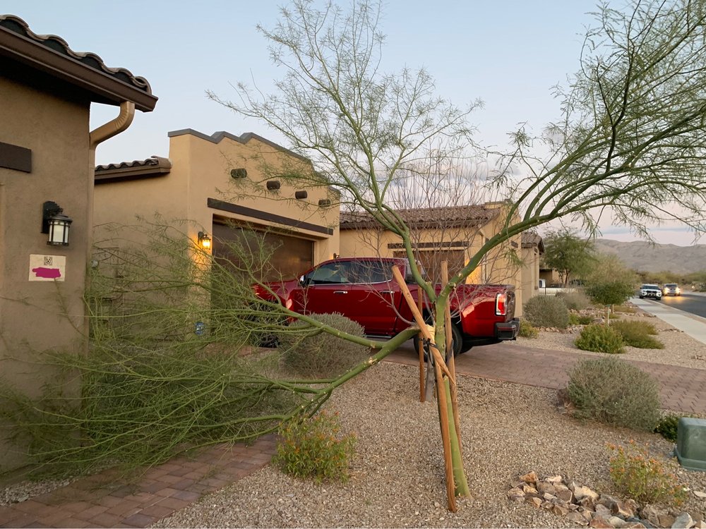Arizona Ponds & Landscaping - tree service in Tucson, AZ