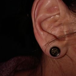 Artfully Insane - 0 gauage plugs with gold willow tree impression in middle