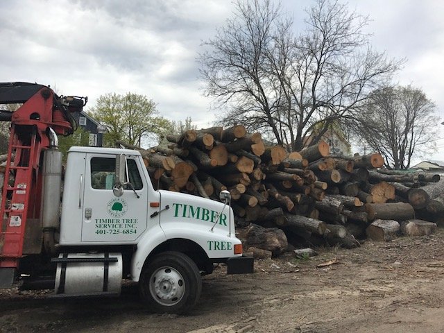 Timber Tree Service - tree service in Pawtucket, RI