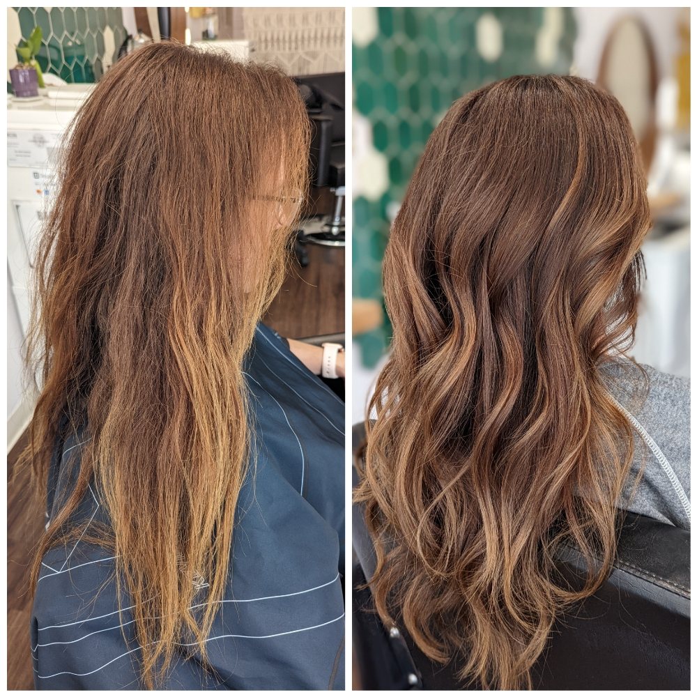 Coral Moss Salon Logo