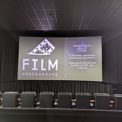 Festival of Cinema NYC