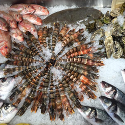 East Coast Seafood Malahide