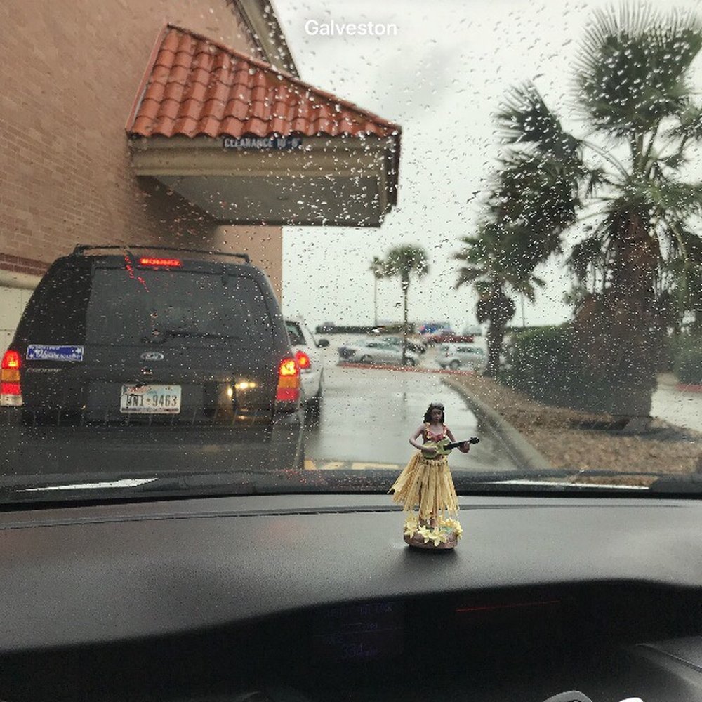 Kroger Food Stores - cold and rainy on da island! - Grocery Near Me - Galveston, Texas Kroger Food Stores - cold and rainy on da island! - Grocery Near Me - Galveston, Texas