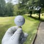 Photo of Golden Horseshoe Golf Club