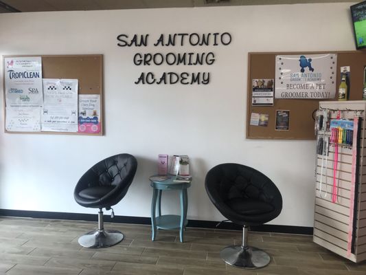 pink poodle converse