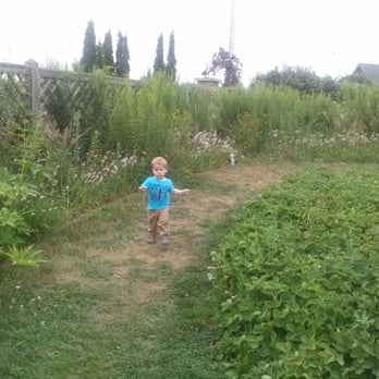 Cedar Valley Arboretum & Botanic Gardens - Toddler L running around the kids play area - Botanical Gardens Near Me - Waterloo, Iowa