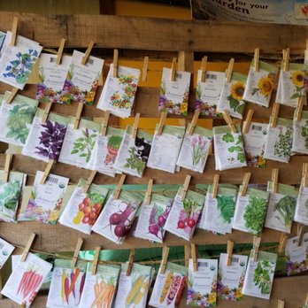 The Garden - Organic Seed - Nurseries & Gardening Near Me - Sonora, California The Garden - Organic Seed - Nurseries & Gardening Near Me - Sonora, California