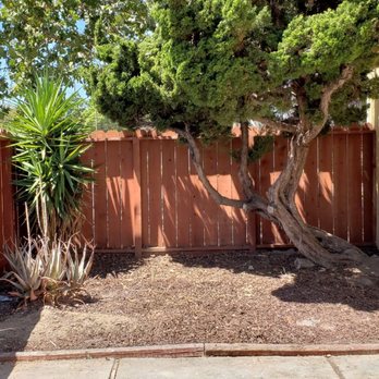 Yards By Mike - The Yard - After - Gardeners Near Me Yards By Mike - The Yard - After - Gardeners Near Me