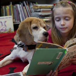 Reading Success Learning Center - Everyone Can Learn to Read ~ Grades K-12