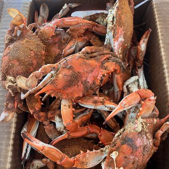 Surf's Up Seafood Market - Seafood Markets Near Me - Avon, North Carolina