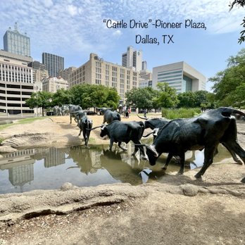 Pioneer Plaza Cattle Drive - Local Flavor Near Me - Dallas, Texas Pioneer Plaza Cattle Drive - Local Flavor Near Me - Dallas, Texas