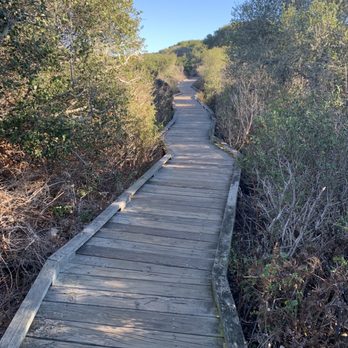 Los Osos Elfin Forest - Parks Near Me