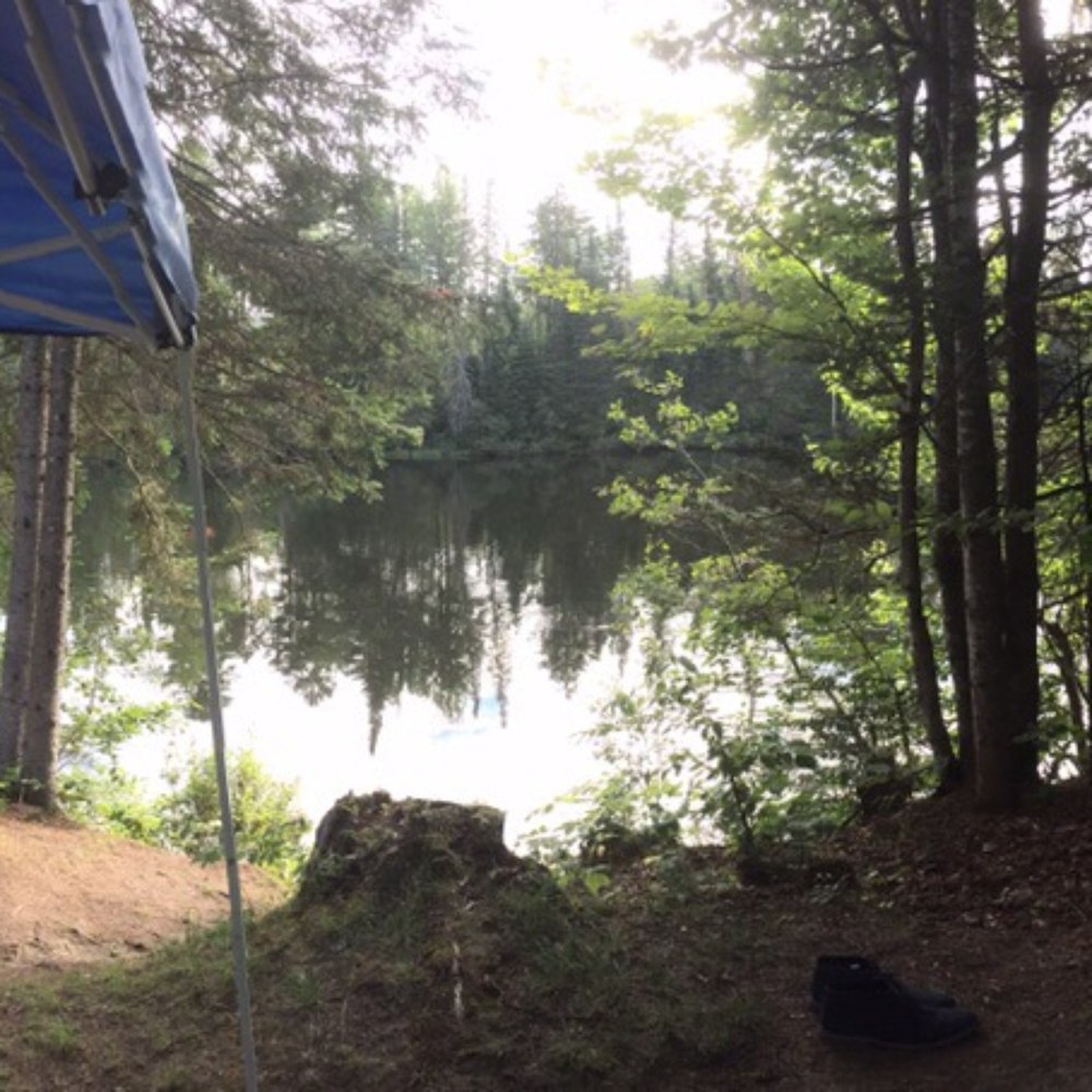 Mollidgewock State Park & Campground - Panorama of my campsite! - Boating Near Me - Errol, New Hampshire