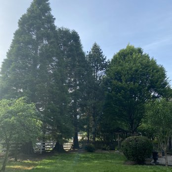 Knotty Tree Service - Firewood Near Me