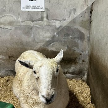 Rathbaun Farm - Farms Near Me - Ardrahan, G