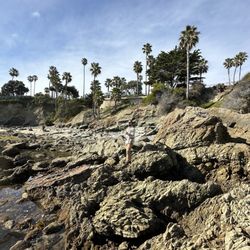 Rockpile Beach