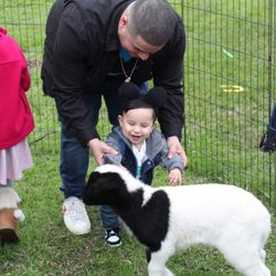 El Rancho Pony Rides and Petting Zoo