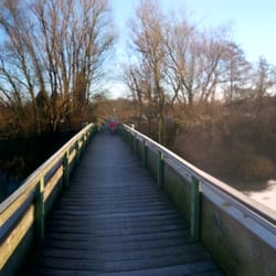 Wilhelmsburger Dove Elbe