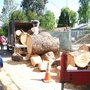 Photo of Sherman Oaks Landscaping