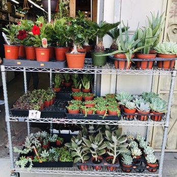 Moon Atelier - Florists Near Me - Los Angeles, California Moon Atelier - Florists Near Me - Los Angeles, California