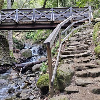 Uvas Canyon County Park - Parks Near Me - Morgan Hill, California
