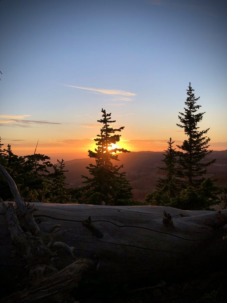 Alpine Pond Trail Logo