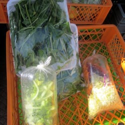 Verduras y ensaladas llegar y aliñar
