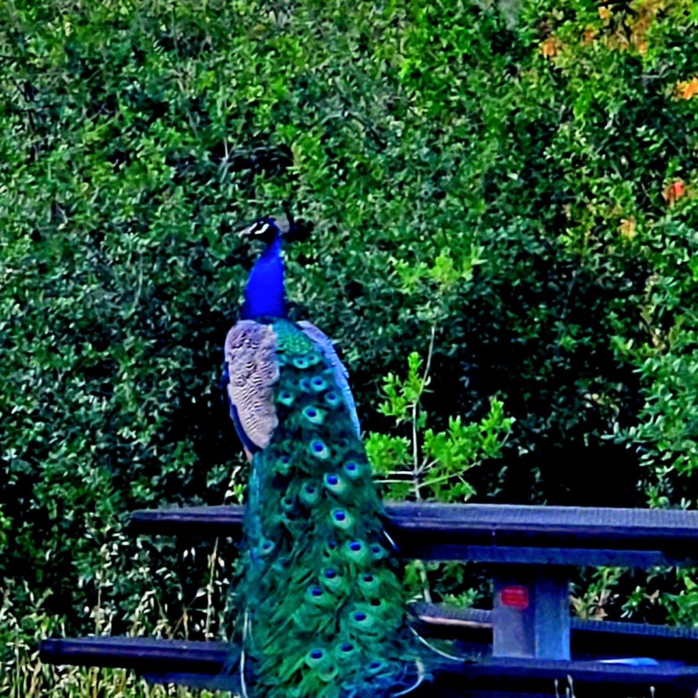 THE BEST 10 CAMPGROUNDS in SOLANO COUNTY, CA - Updated 2026 - Hours - Yelp