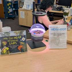 Duxbury Free Library - Venus flytrap
