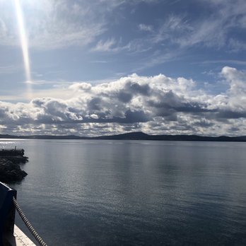 Dildo Brewing - From the pier next to brewery - Brewpubs Near Me - Dildo, Newfoundland and Labrador