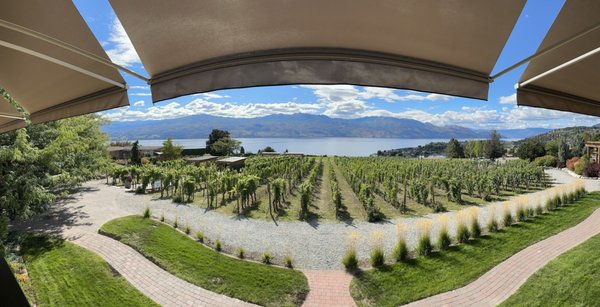Old Vines Restaurant @ Quails' Gate Winery by null