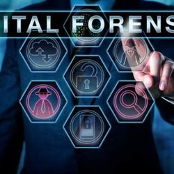 Gottem Bond Recovery Agency - Forensic